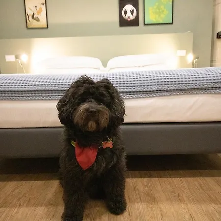 Aqualago E Apartamento Verbania