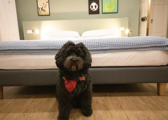 Aqualago E Апартаменты Вербания